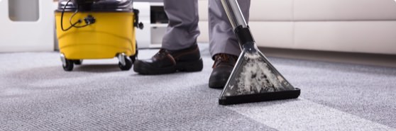 Carpet Cleaning